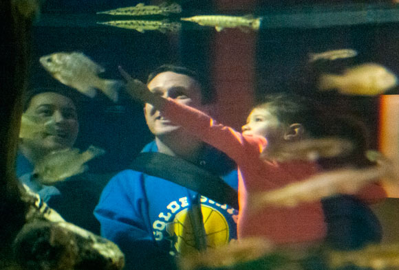 Greater Cleveland Aquarium