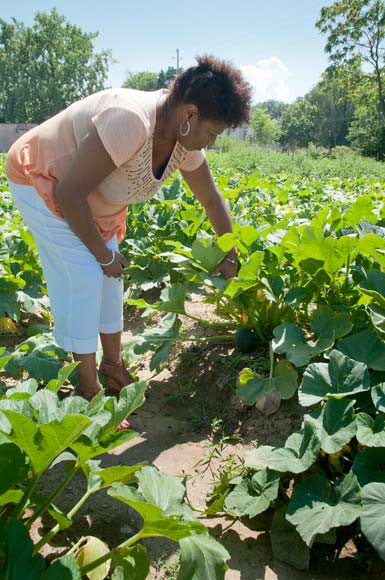 Erica Robinson, Project Manager with Famicos at Cleveland Crops