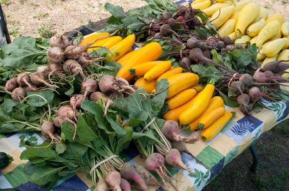 Cleveland Crops Produce