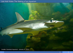 Greater Cleveland Aquarium - Photo Bob Perkoski