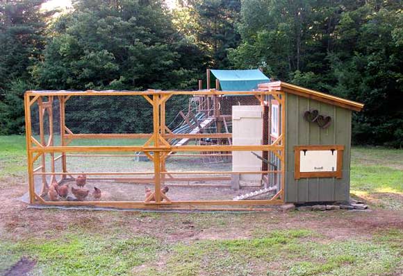 Recycled-Shed-Coop.jpg