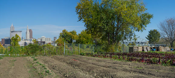 Cleveland Crops in Ohio City