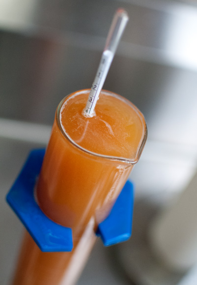 Checking for just the right temperature