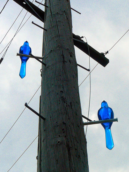 bluebird-cleveland-public-art.jpg