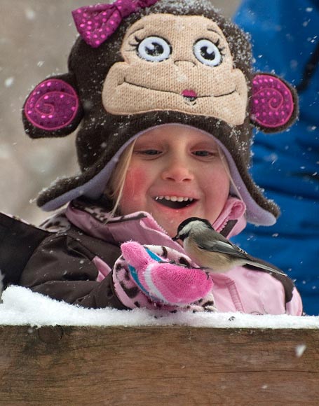 hand-feed-a-chickadee.jpg