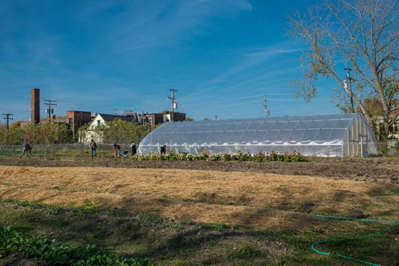 Cleveland Crops in Glenville