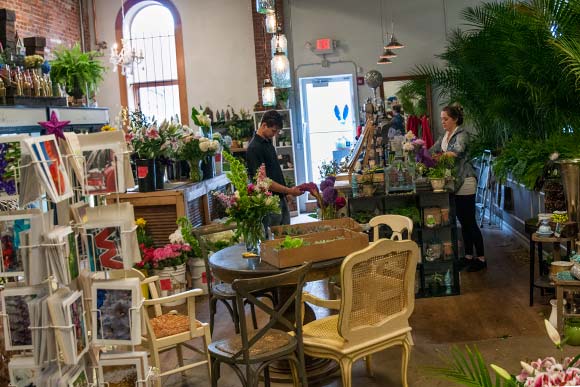 Urban Orchid west side location in Hingetown