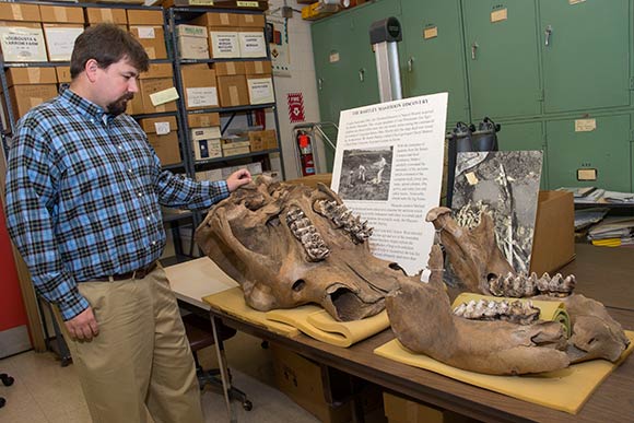 Dr. Andy Jones with the Mastodon Skeleton