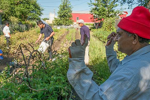 Urban Community School