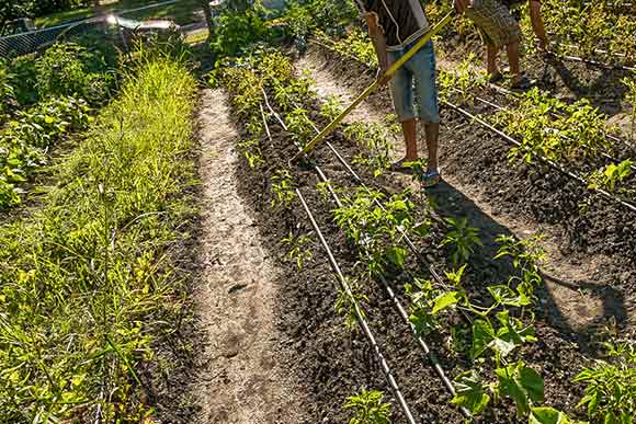 Urban Community School