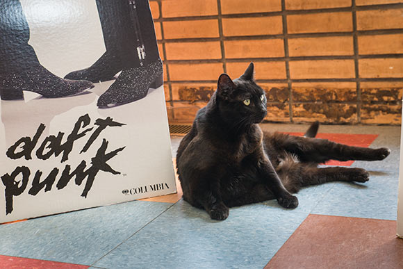 Music Saves mascot "Vinyl"