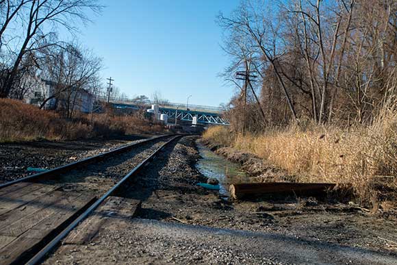 <span class="content-image-text">Marshy grass and reeds near the railroad tracks on Willey Ave</span>