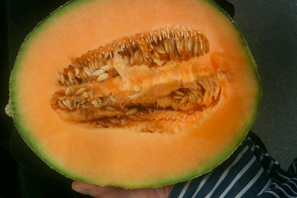 Blue Sky Green Fields