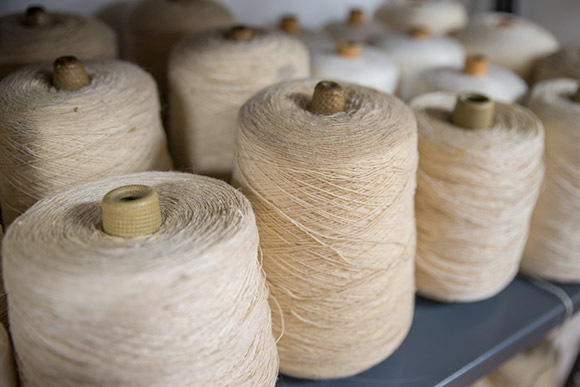 Praxis Fiber Workshop