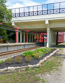 <span class="content-image-text">W25th Station perennial garden</span>