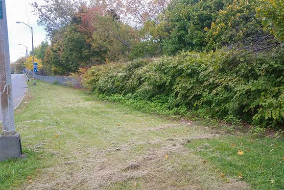Looking west from West 41st Street