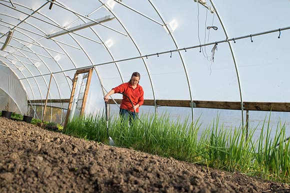 Compost is used in the growing areas at CWRU's Valleevue Farm in Hunting Valley