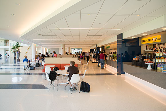 Young professionals are part of a migration pattern that is currently reurbanizing cities