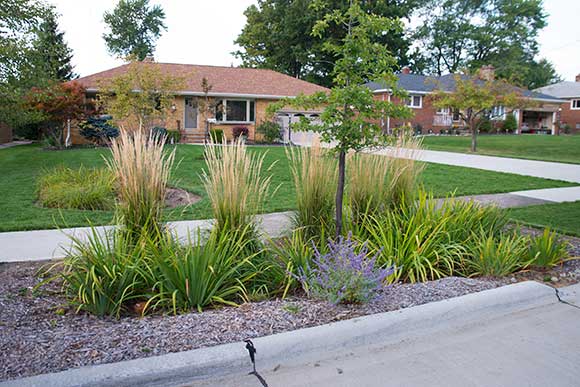 Rain garden project along Park Haven Dr in Parma