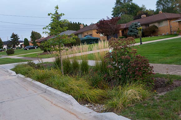 <span class="content-image-text">Rain garden project along Park Haven Dr in Parma</span>