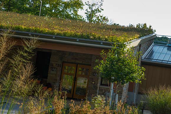 The green roof at the Watershed Stewardship Center