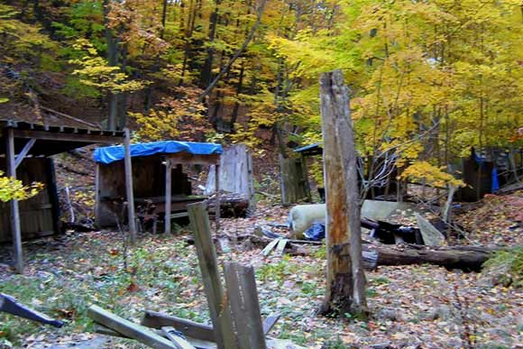 Green Creek Corridor before the cleanup