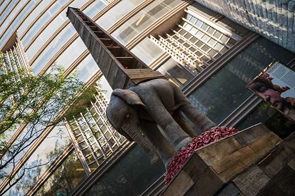 Migration is the sixth art installation at CPL's Eastman Reading Garden by artist Andréa Keys Connell