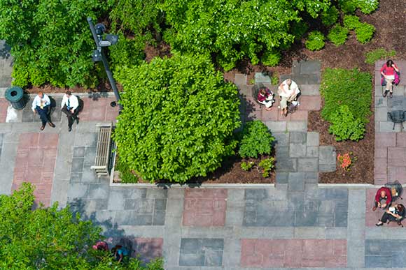 CPL's Eastman Reading Garden