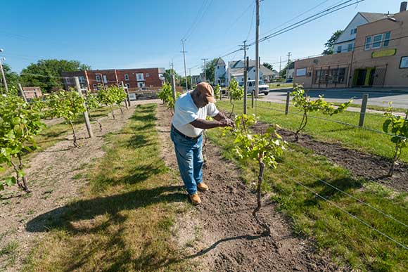 Mansfield Frazier of Vineyards of Chateau Hough