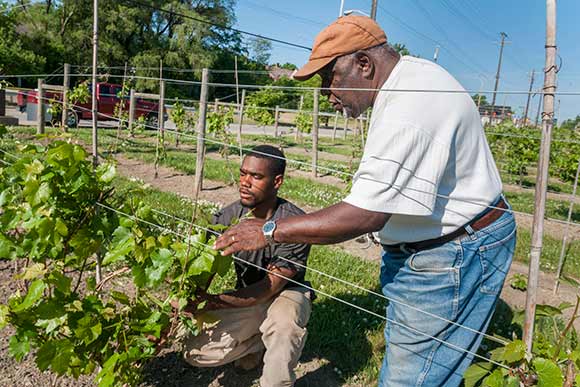 Mansfield Frazier of Vineyards of Chateau Hough