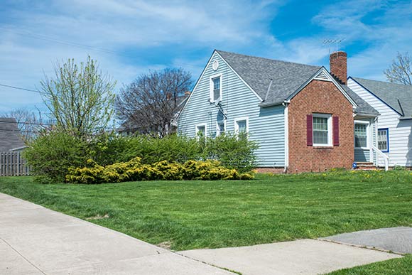 Landscaping vacant lots contributes to the beauty and cohesion of the neighborhood