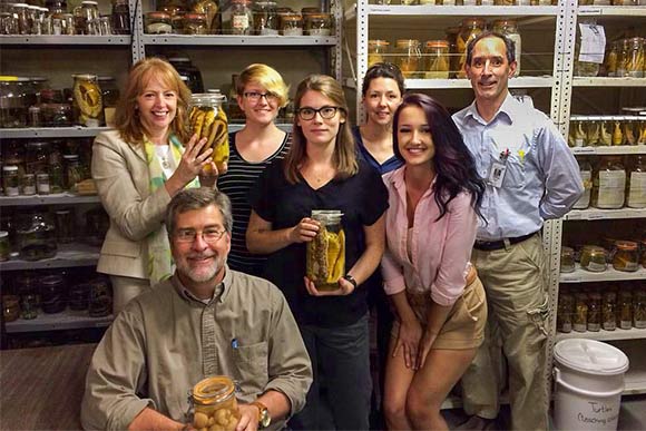 Rebecca Konte (right) with colleagues from the Cleveland Natural History Museum holding specimens from their collections