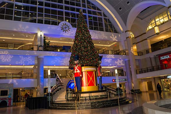 <span class="content-image-text">Tower City Christmas Tree</span>