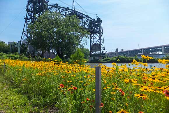 Lake Link Trail and Scranton Flats.