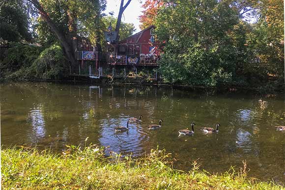 <span class="content-image-text">Geese swim by a home along the canalway</span>