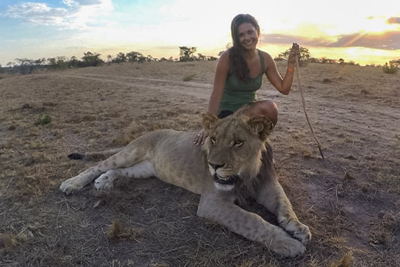 Lindsay on a lion walk through the ALERT program at Antelope Park in Zimbabwe