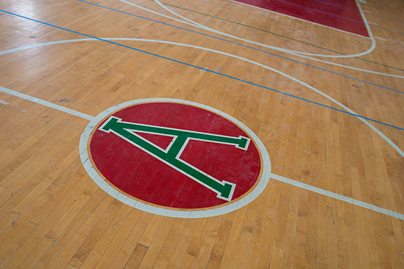 Alta House gym floor
