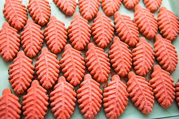 Sweet treats at Corbo’s Bakery