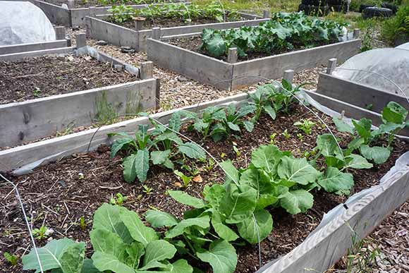 High Hoe Farm and Sundries