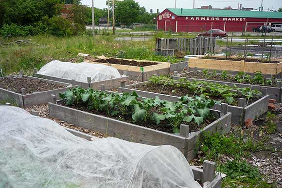 High Hoe Farm and Sundries