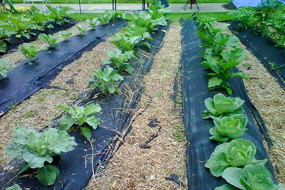 Ka-La Healing Garden and Resource Center