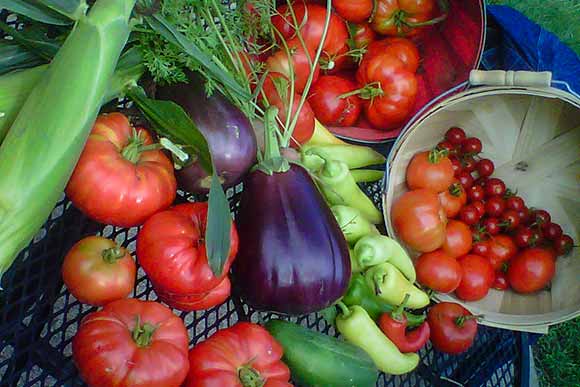 Vegies from the Ka-La Healing Garden