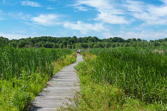 Mentor Marsh Hike - WRLC land conservation work with partners around the region