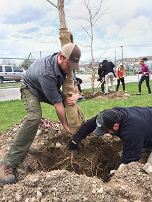 <span class="content-image-text">Tree Steward Training at Saint Luke's</span>