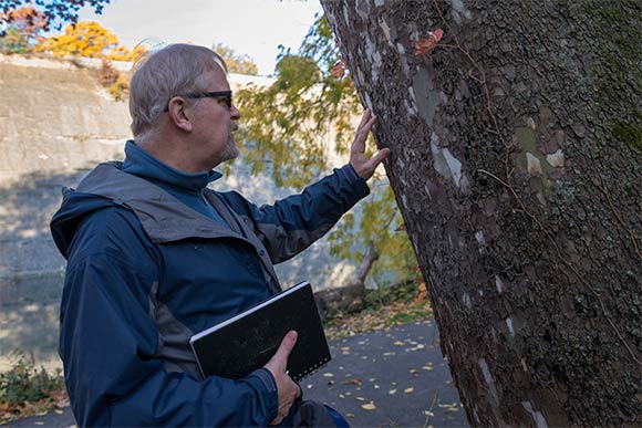 CIA associate professor, Douglas Paige observing nature's design in the Metorparks