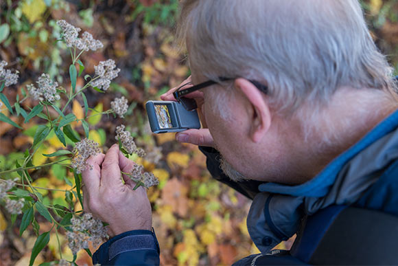 Douglas Paige observing nature's design in the Metorparks