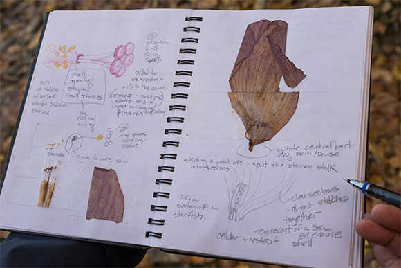 A page from Douglas Paige's field notebook