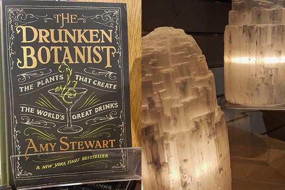 Cleveland Museum of Natural History gift shop