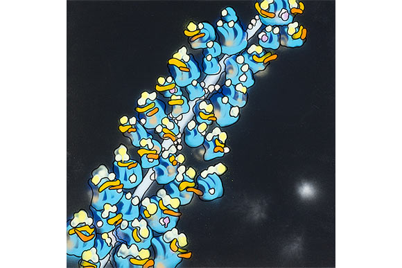 A Colony of NameiAscidians