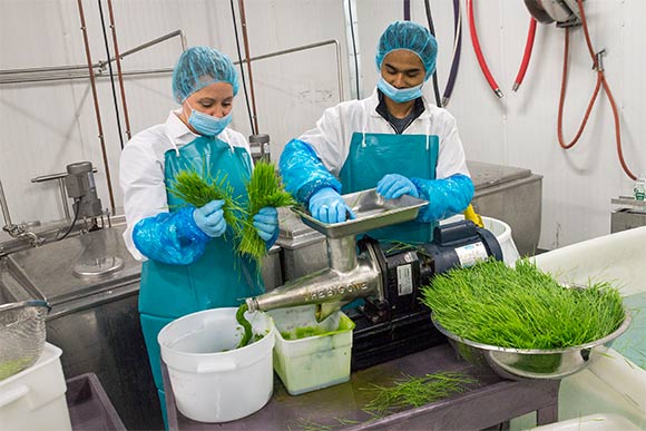 Lisa Marie Reed owner of Garden of Flavor (left) and Ha San juicing wheatgrass